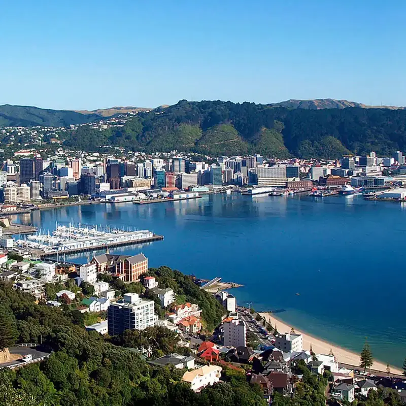 Pre Sale Building Inspections Wellington